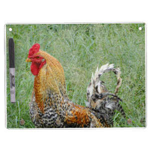 Roosters Dry Erase Board With Keychain Holder