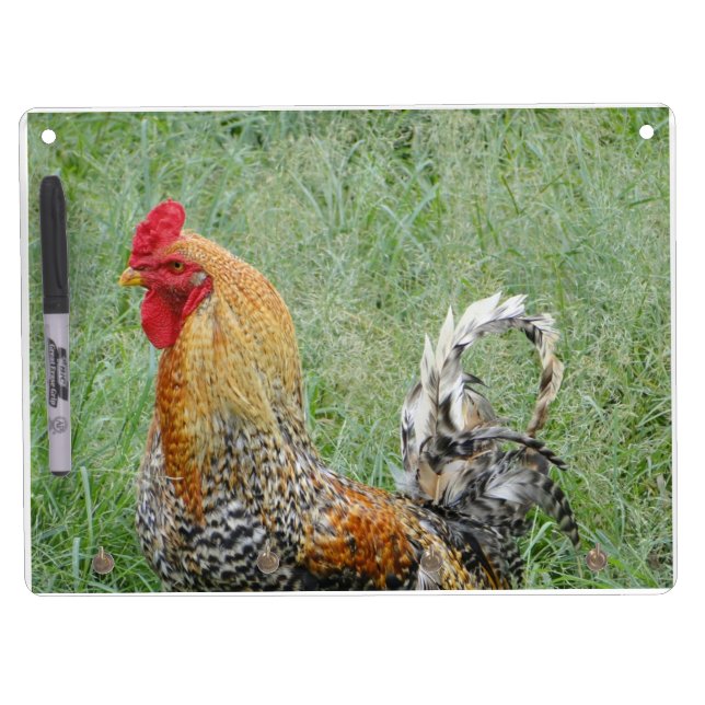 Roosters Dry Erase Board With Keychain Holder (Front)