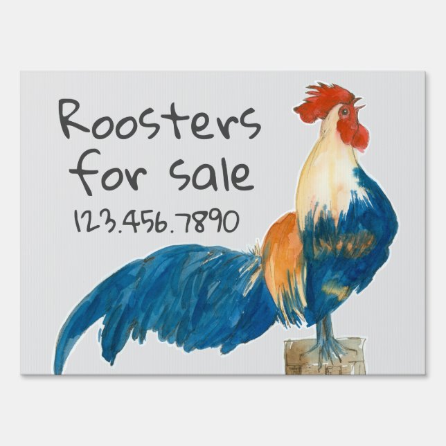 Roosters For Sale Chickens Farm Animal Sign (Front)