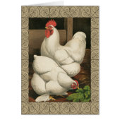 Roosters & Hen outside Hen House with White Border (Front)