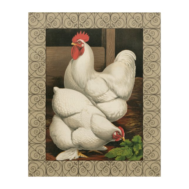 Roosters & Hen outside Hen House with White Border Acrylic Print (Front)