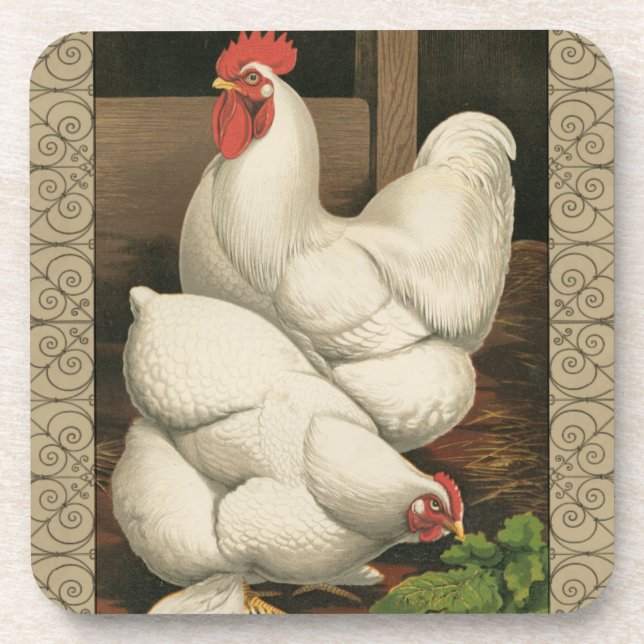 Roosters & Hen outside Hen House with White Border Beverage Coaster (Front)