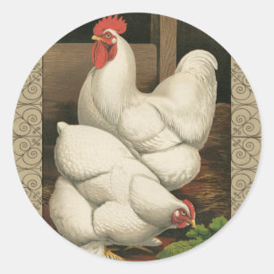 Roosters & Hen outside Hen House with White Border Classic Round Sticker