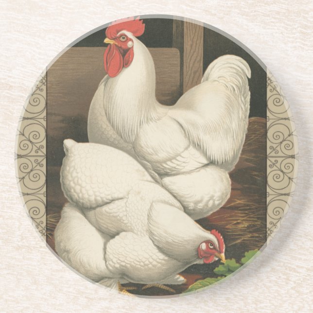 Roosters & Hen outside Hen House with White Border Drink Coaster (Front)
