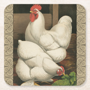 Roosters & Hen outside Hen House with White Border Square Paper Coaster
