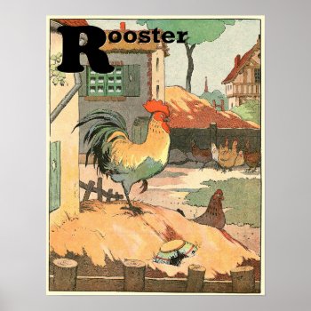 Roosters  Hens And Baby Chicks Alphabet Poster by kidslife at Zazzle