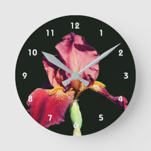 Root Beer Bearded Iris Flower Round Clock