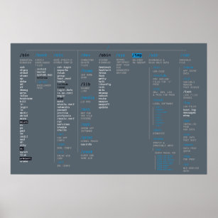 root directory poster