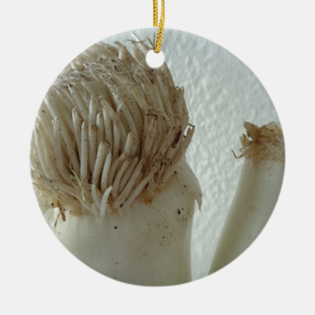 Root of Leek, Vegetables, Healthy Raw White Food Ceramic Ornament (Front)