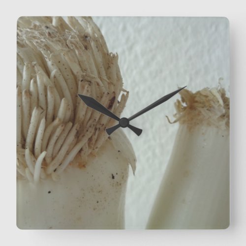 Root of Leek Vegetables Healthy Raw White Food Square Wall Clock