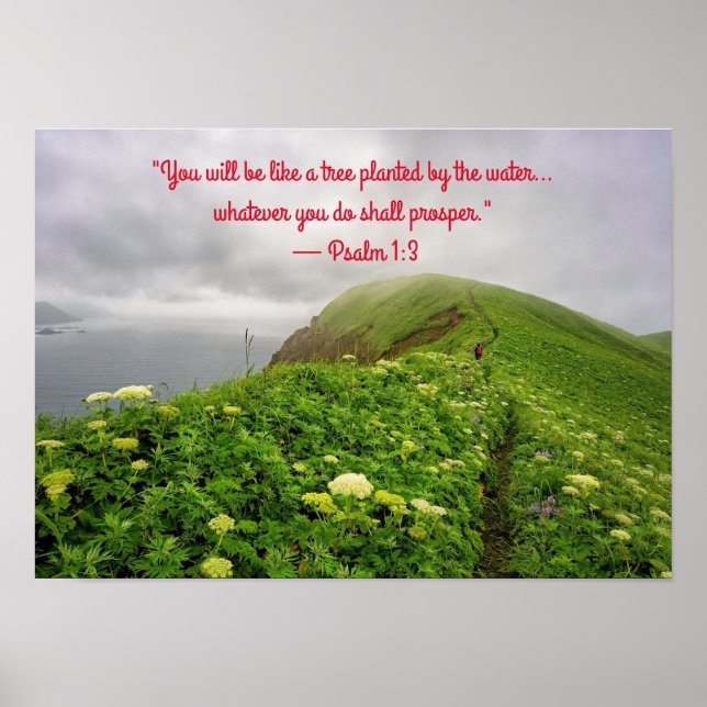 Rooted in Blessings Poster (Front)