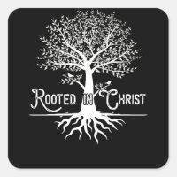 Rooted in Christ Christian Faith and Love in God