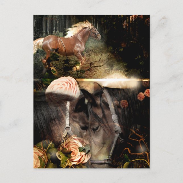 Rooted in God's Love Postcard (Front)