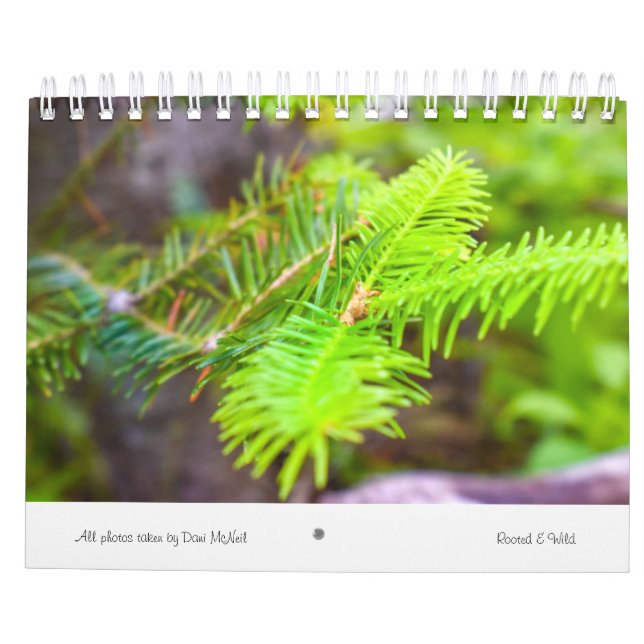 Rooted & Wild Nature 2022 Calendar (Back)