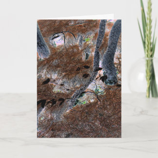 "Roots" Gnarled Trees, Pine Needles, Forest Floor Card