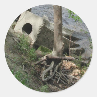 Roots of Stone Classic Round Sticker