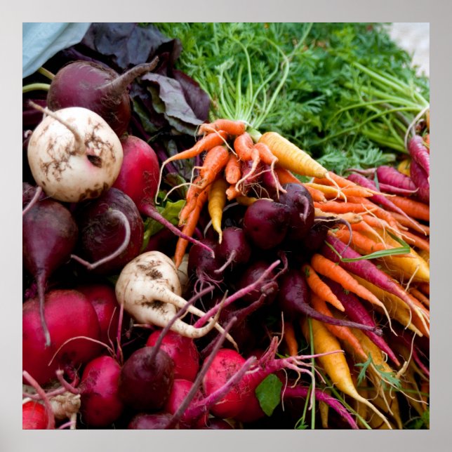 ROOTS! POSTER (Front)