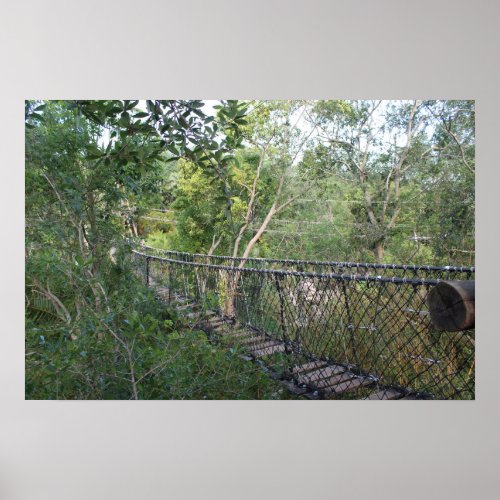 Rope Bridge in the Trees Poster
