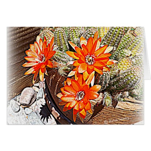 Rope Cactus Blooms Cards (Front Horizontal)