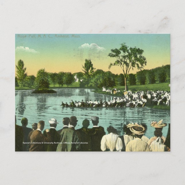 Rope Pull, Campus Pond Postcard (Front)
