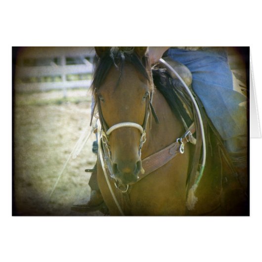 Roping Horse (Front Horizontal)