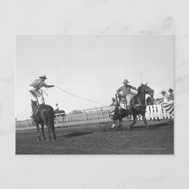 Roping horse postcard (Front)