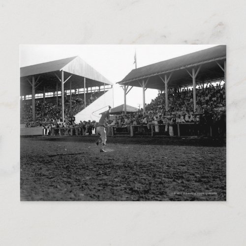 Roping tricks at a rodeo postcard