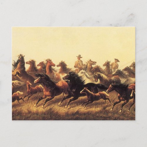 Roping Wild Horses by James Walker Postcard