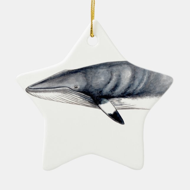 Rorcual aliblanco Christmas adornment Minke whale Ceramic Ornament (Front)