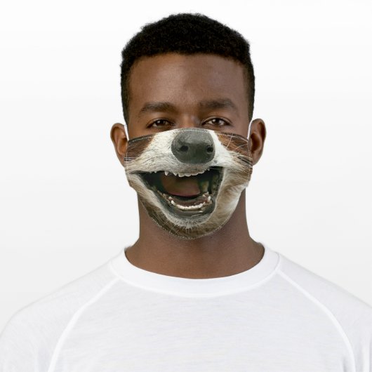 Rory the raccoon mask, as requested adult cloth face mask (Worn)