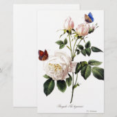 Rosa Bengale - Pierre Joseph Redouté. (Front/Back)