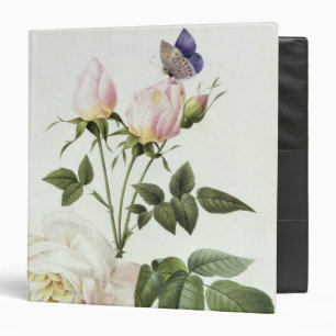 Rosa: Bengale the Hymenes, from 'Les Roses' 3 Ring Binder
