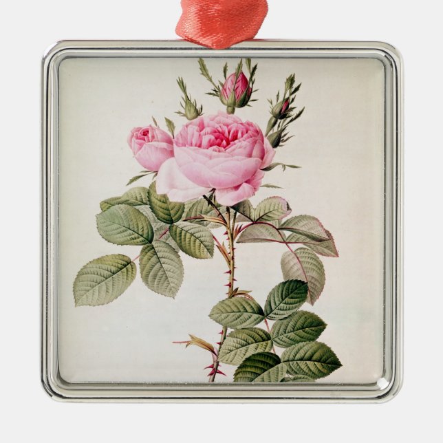 Rosa Bifera Officinalis, from 'Les Roses' Metal Ornament (Front)