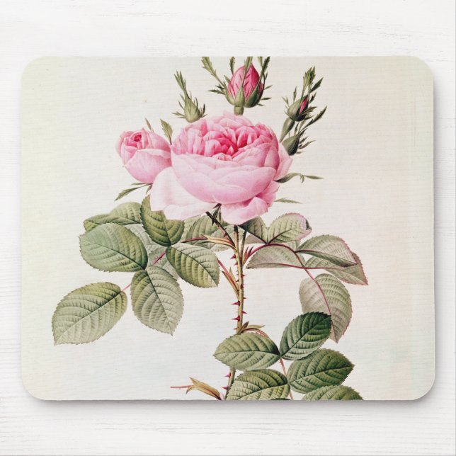 Rosa Bifera Officinalis, from 'Les Roses' Mouse Pad (Front)