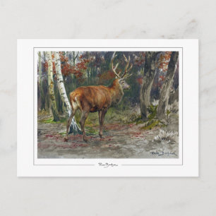 Rosa Bonheur #135 - Fine Art Postcard
