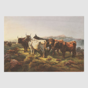 Rosa Bonheur Morning After - Morning in Highland Tissue Paper