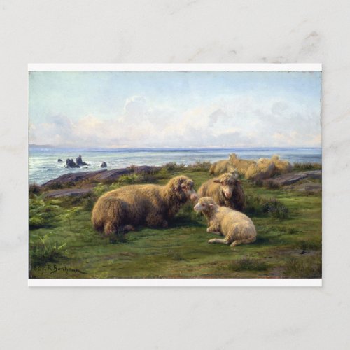 Rosa Bonheur Sheep by the Sea Postcard