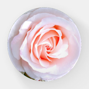 Rosa Bridal Pink [Glass Dome Paper Weight] Paperweight
