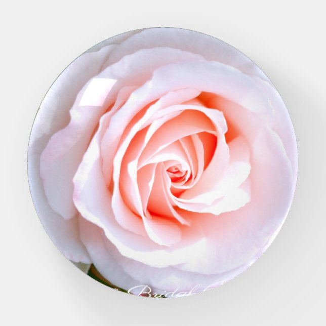 Rosa Bridal Pink [Glass Dome Paper Weight] Paperweight (Front)