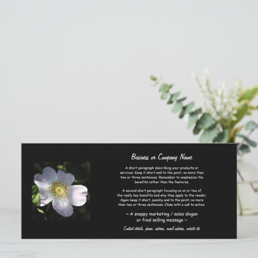 Rosa Canina - Dog Rose (Standing Front)