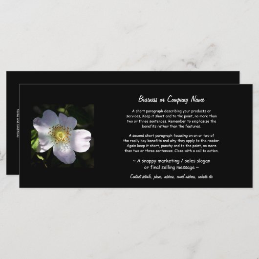 Rosa Canina - Dog Rose (Front/Back)