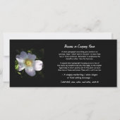 Rosa Canina - Dog Rose (Front)