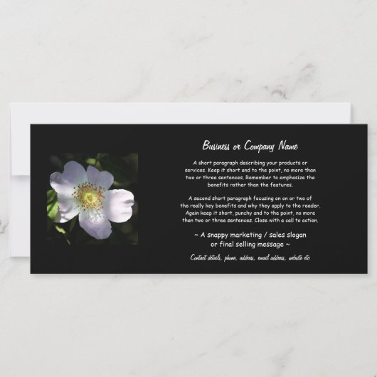 Rosa Canina - Dog Rose (Front)