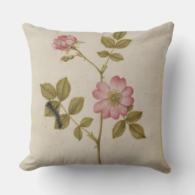 Rosa Canina - Dogrose and Caterpillar (pencil & w/ Throw Pillow (Front)