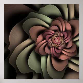Rosa Canina Erratica 12" x 12" Poster