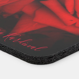 Rosa Cardinal: Stadium Seat Cushion