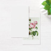 Rosa Centifolia (Desk)