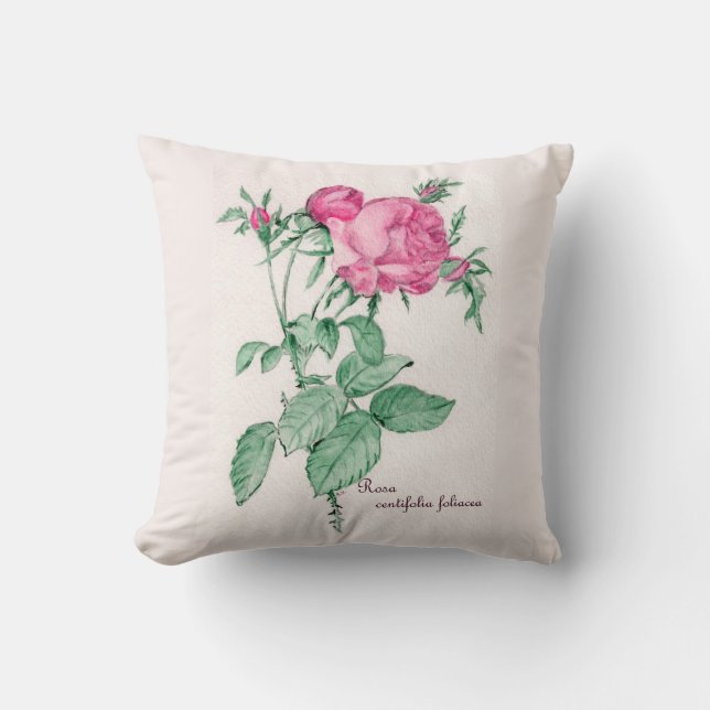 Rosa Centifolia Foliacea Throw Pillow (Front)