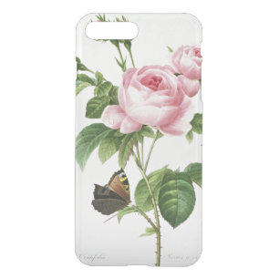 Rosa Centifolia iPhone 8 Plus/7 Plus Case
