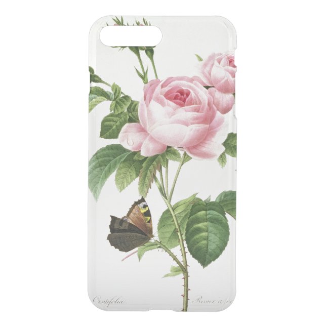 Rosa Centifolia Uncommon iPhone Case (Back)